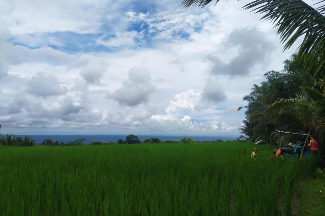 Photo of Others in Wongaya Gede