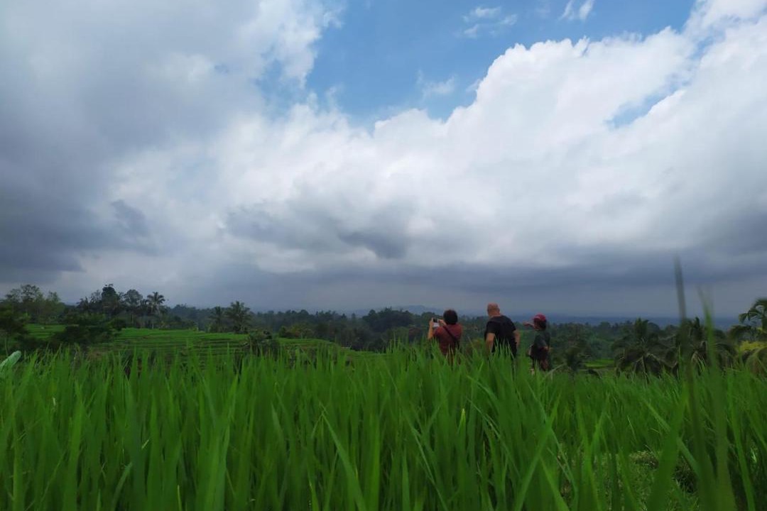 Photo of Others in Wongaya Gede