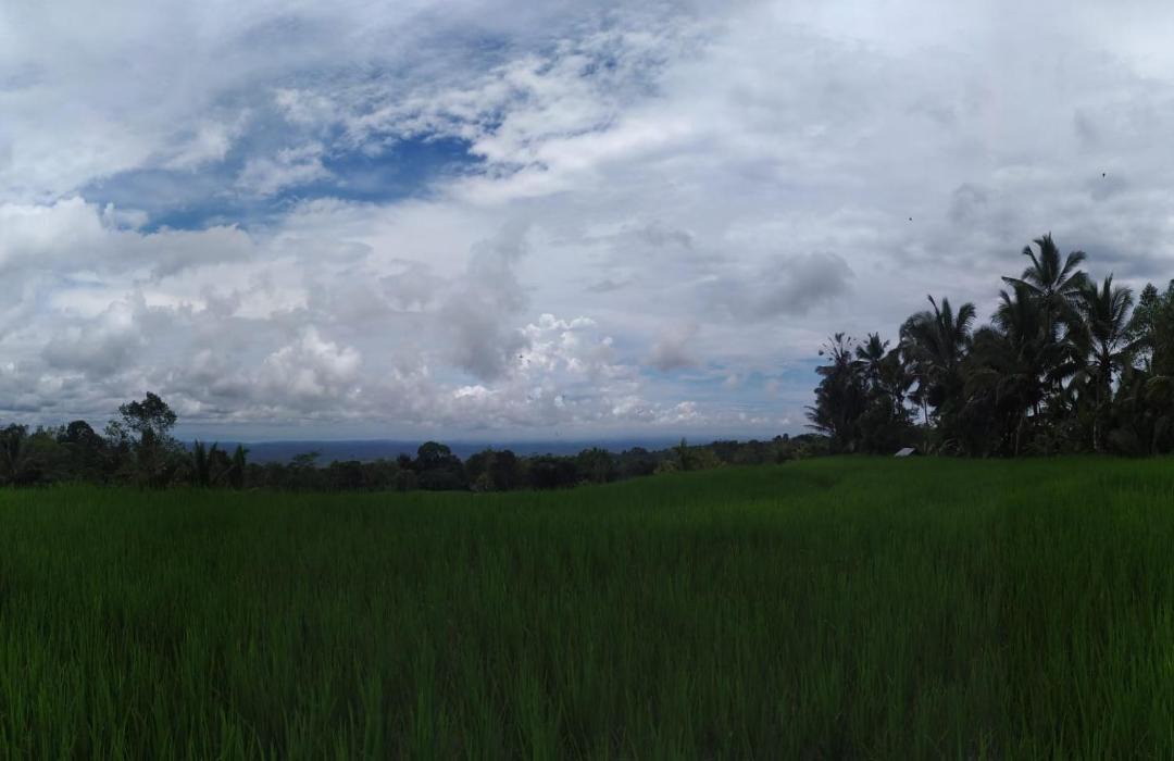 Photo of Others in Wongaya Gede