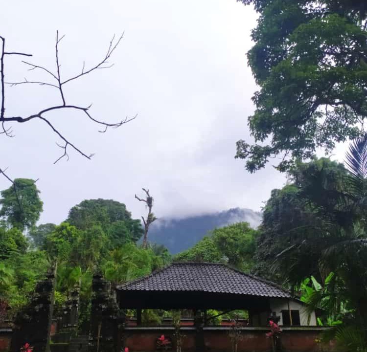 Photo of Others in Wongaya Gede