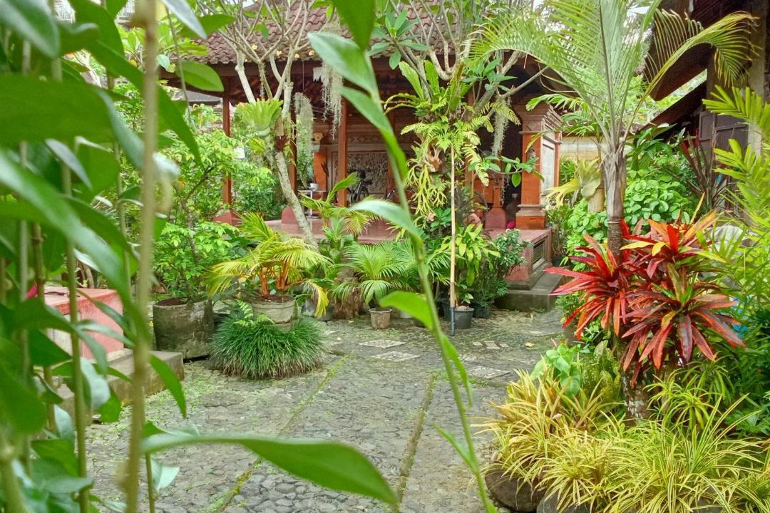 Photo of Others in Ubud City-Centre