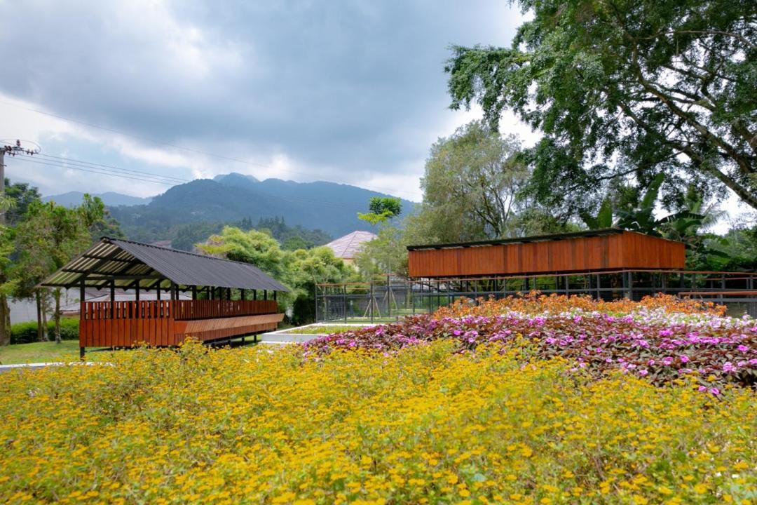 Photo of Buildings in Megamendung