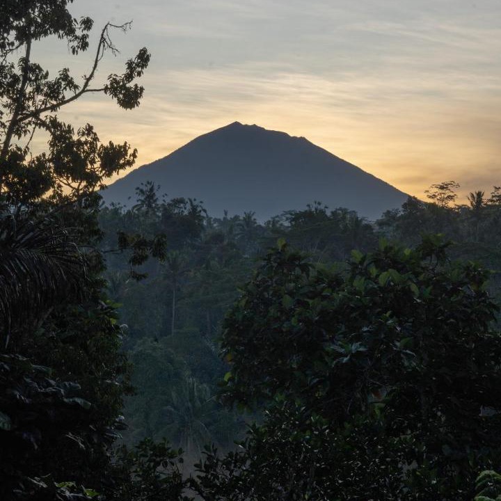 Photo of Outdoor in Sebatu