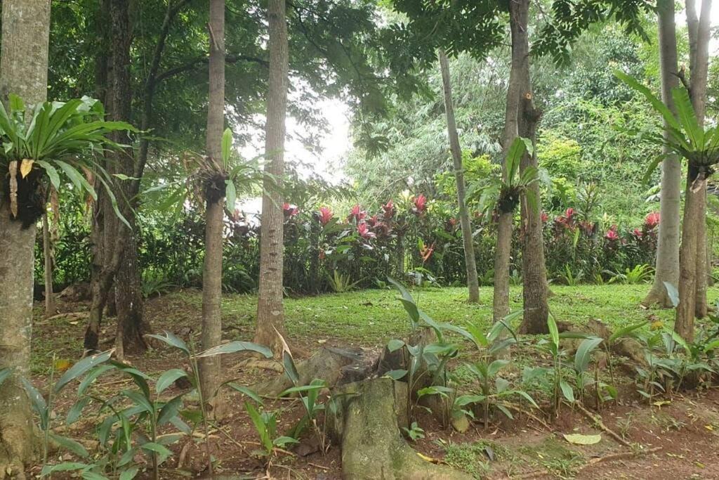 Photo of Others in Sukaraja