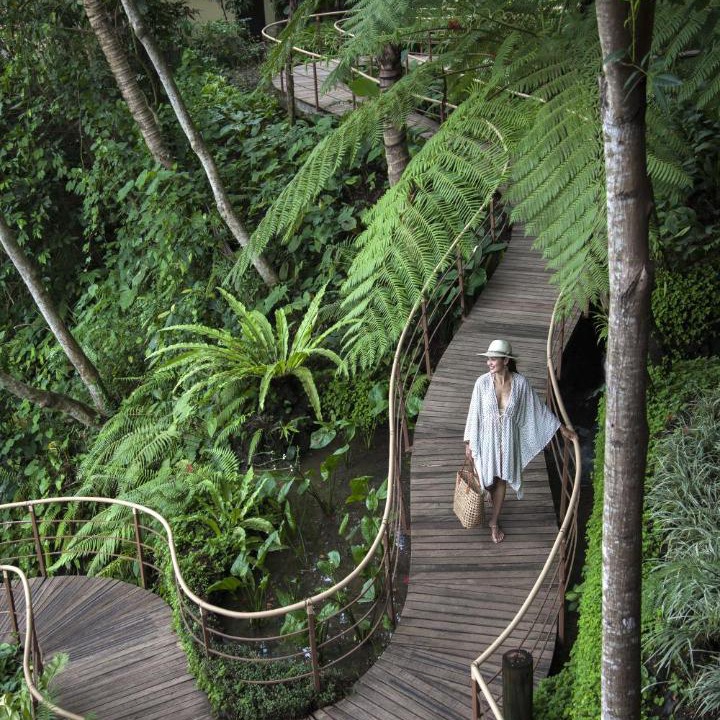 Photo of Others in Ubud City-Centre
