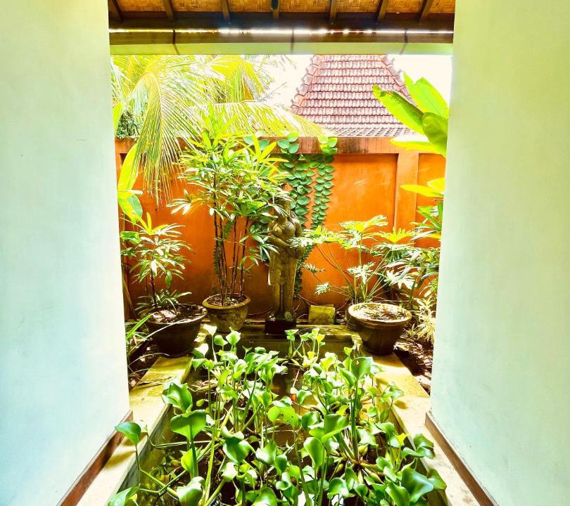 Photo of Others in Jungut Batu