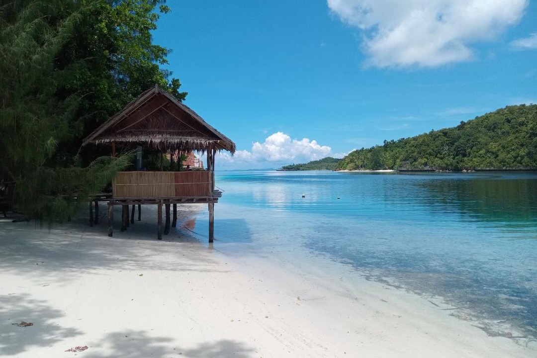 Photo of Others in Raja Ampat