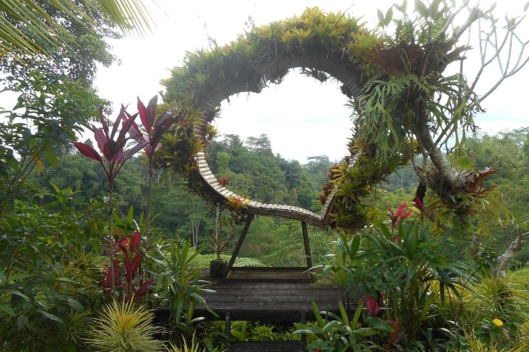 Photo of Outdoor in Taro