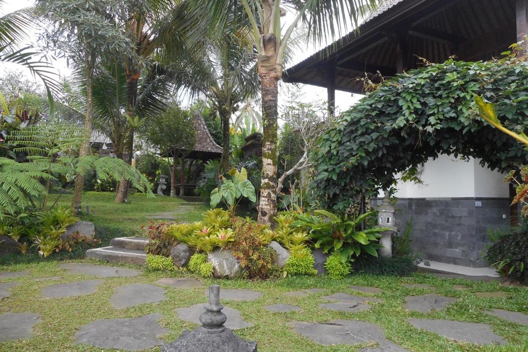 Photo of Buildings in Taro