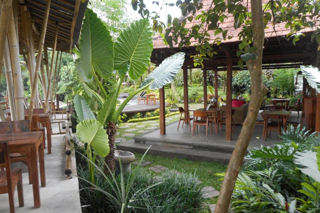 Photo of Others in Taro