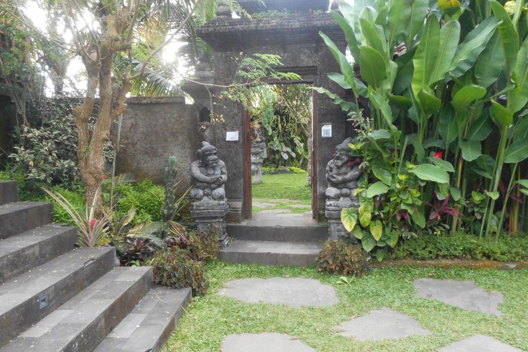 Photo of Others in Taro