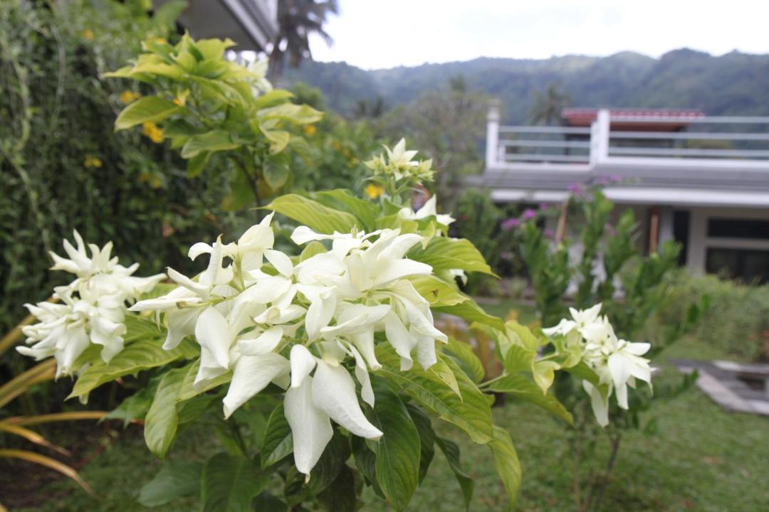 Photo of Others in Kubutambahan