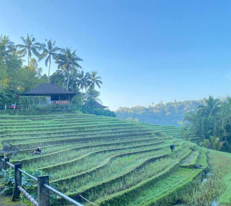 Photo of Others in East Selemadeg