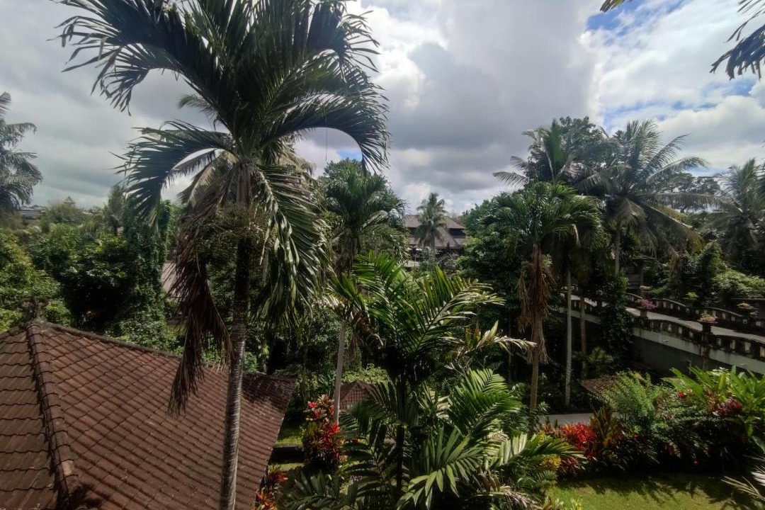 Photo of Others in Ubud