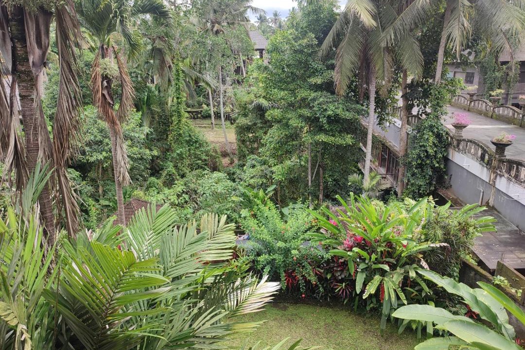 Photo of Others in Ubud