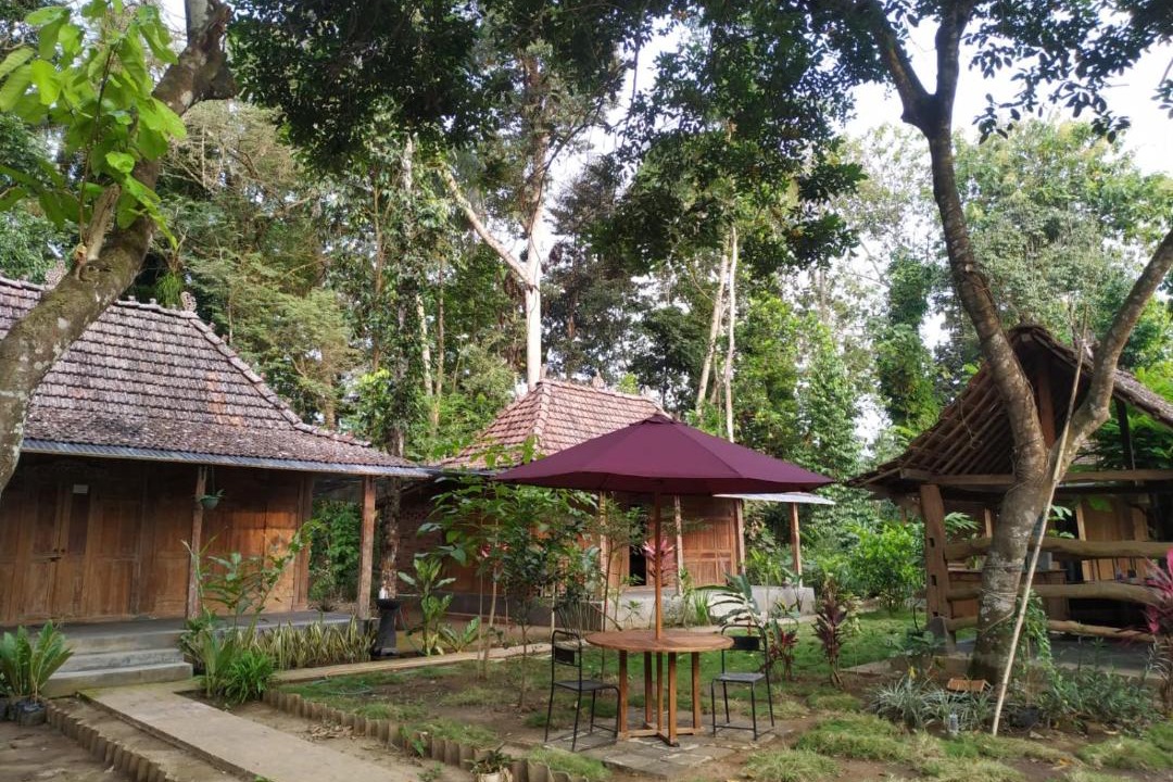 Photo of Buildings in Borobudur