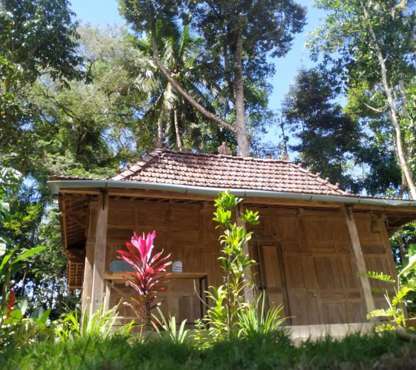 Photo of Buildings in Borobudur