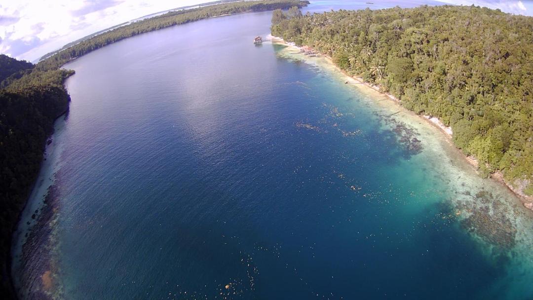 Photo of Others in Raja Ampat