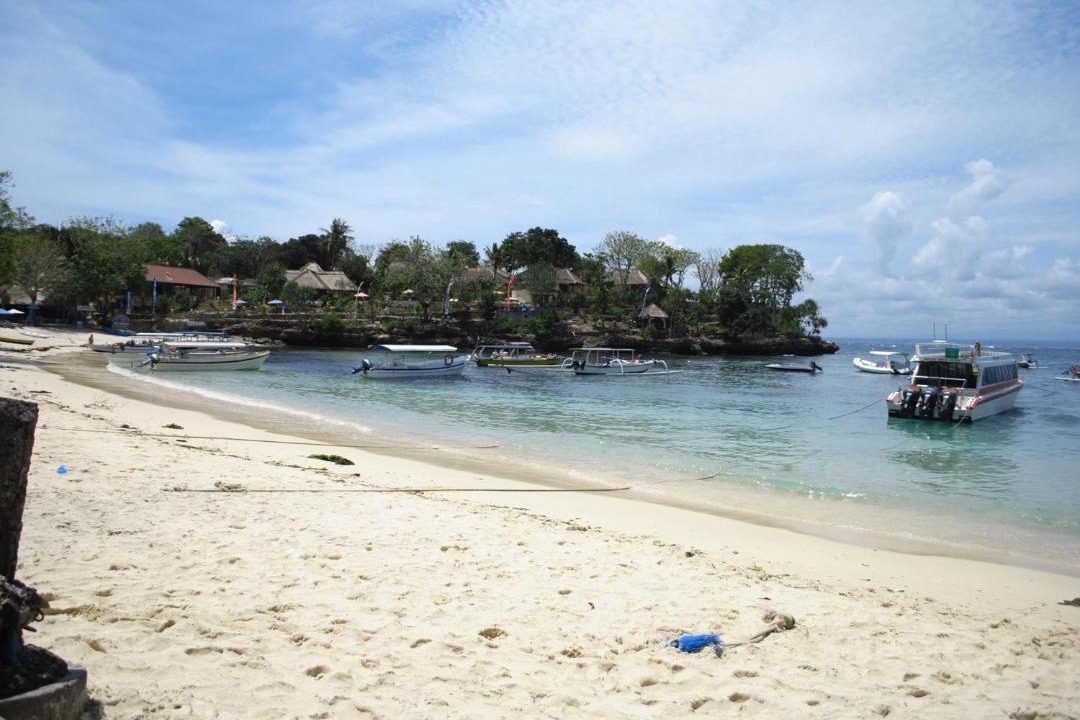 Photo of Others in Mushroom Bay