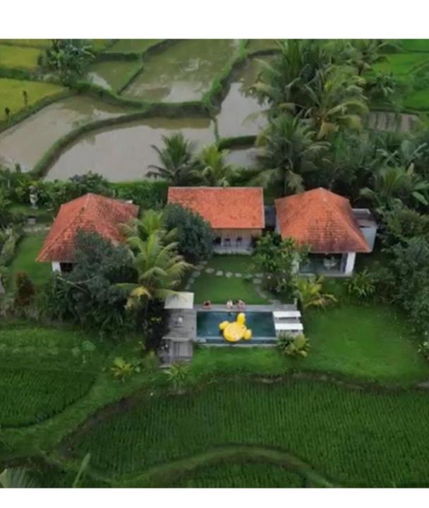 Photo of Others in Petak