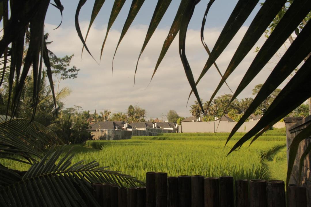 Photo of Outdoor in Sambahan