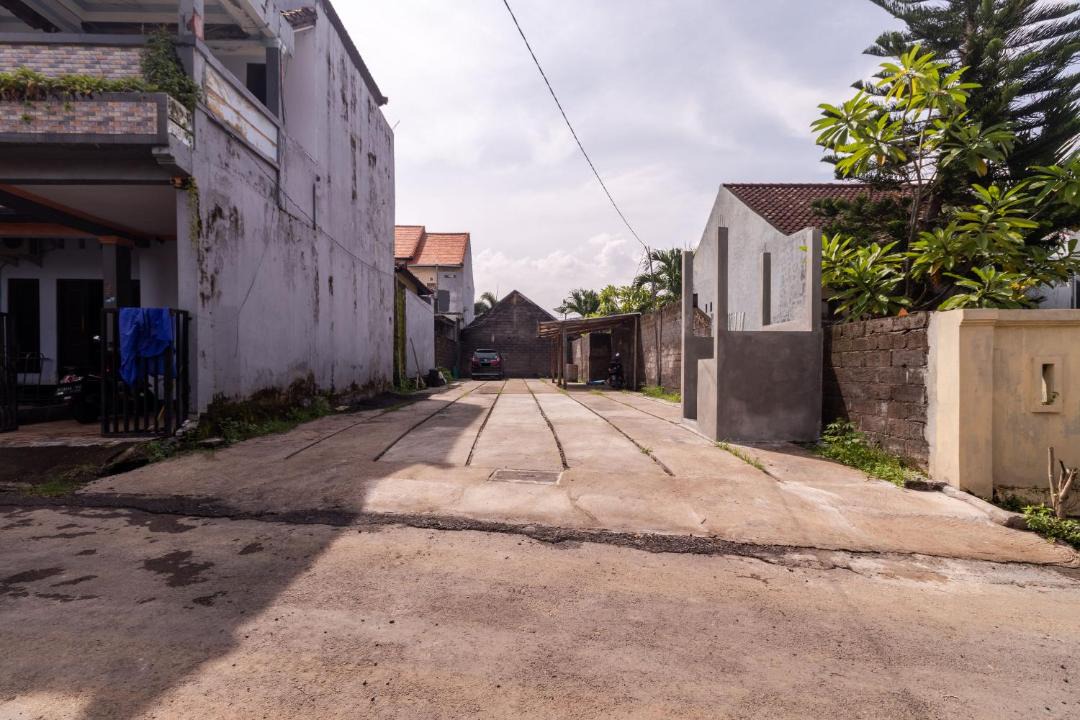 Photo of Others in Lovina