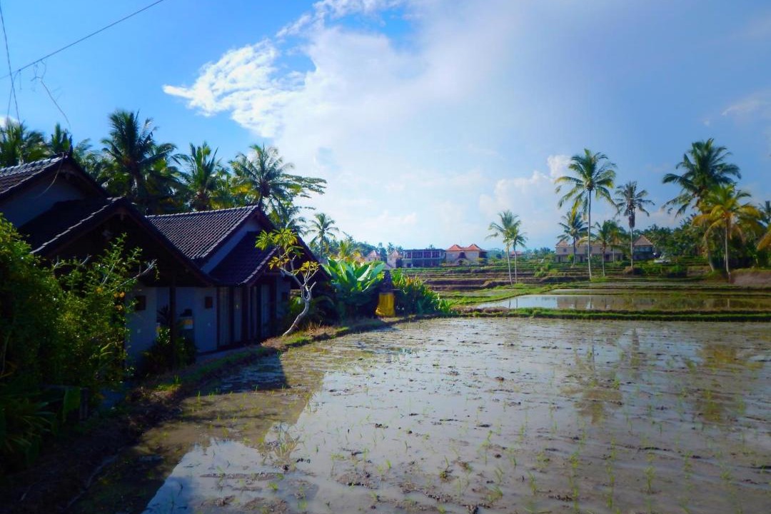 Photo of Others in Pejeng Kawan