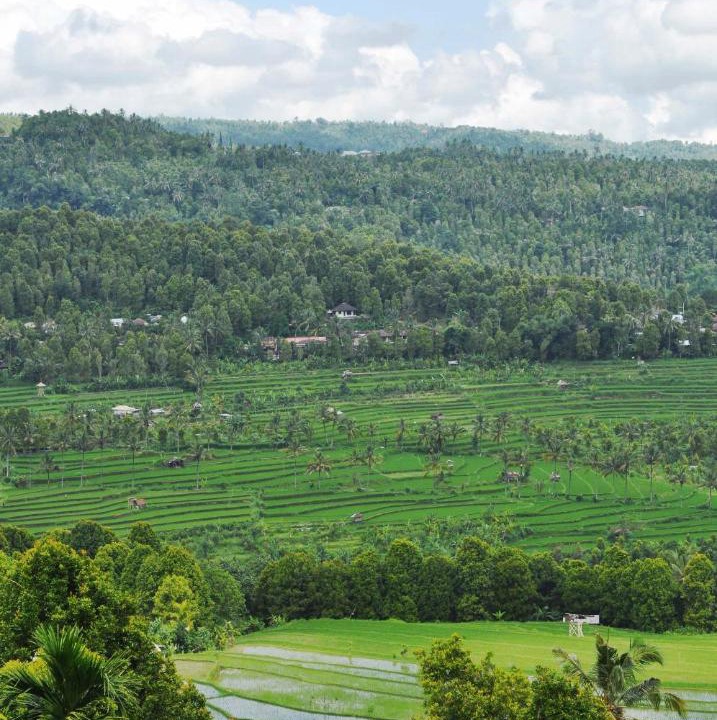 Photo of Others in Munduk
