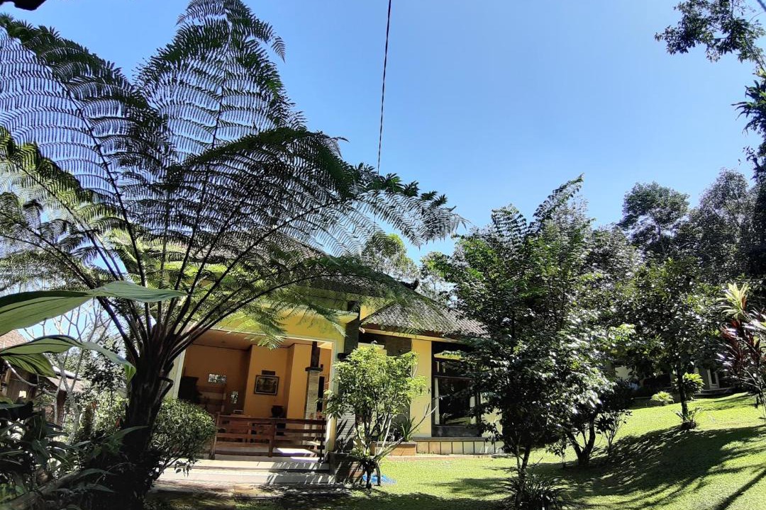 Photo of Others in Wongaya Gede