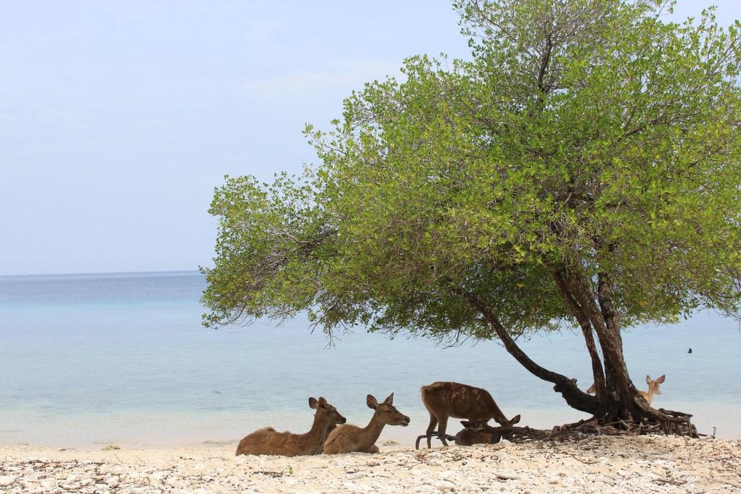 Photo of Others in Sumberklampok