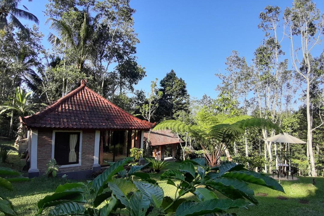 Photo of Others in Wongaya Gede