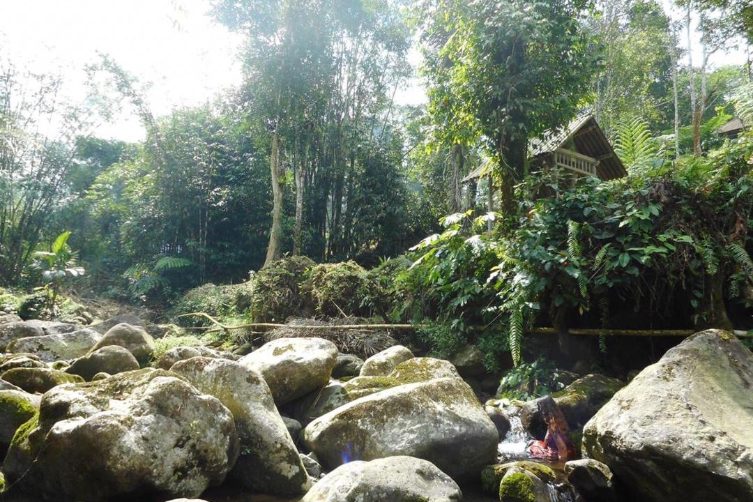 Photo of Others in Wongaya Gede