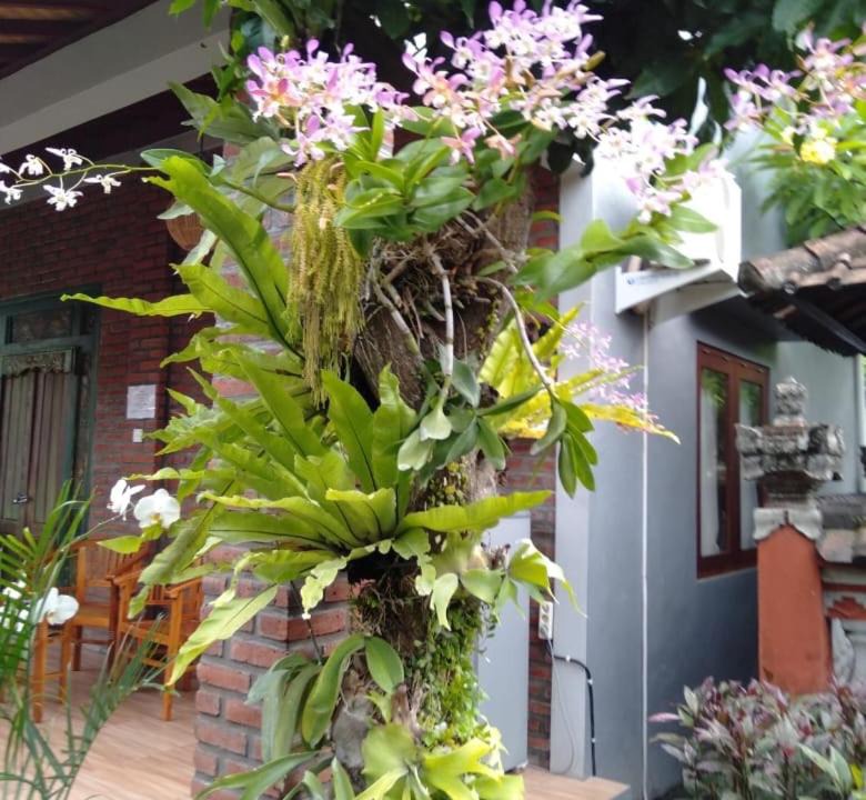 Photo of Others in Batu Bolong