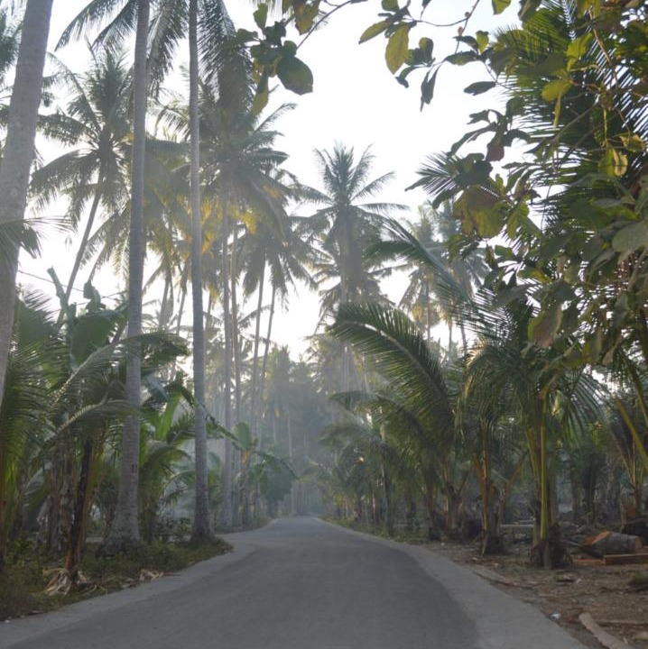 Photo of Others in Penida Island