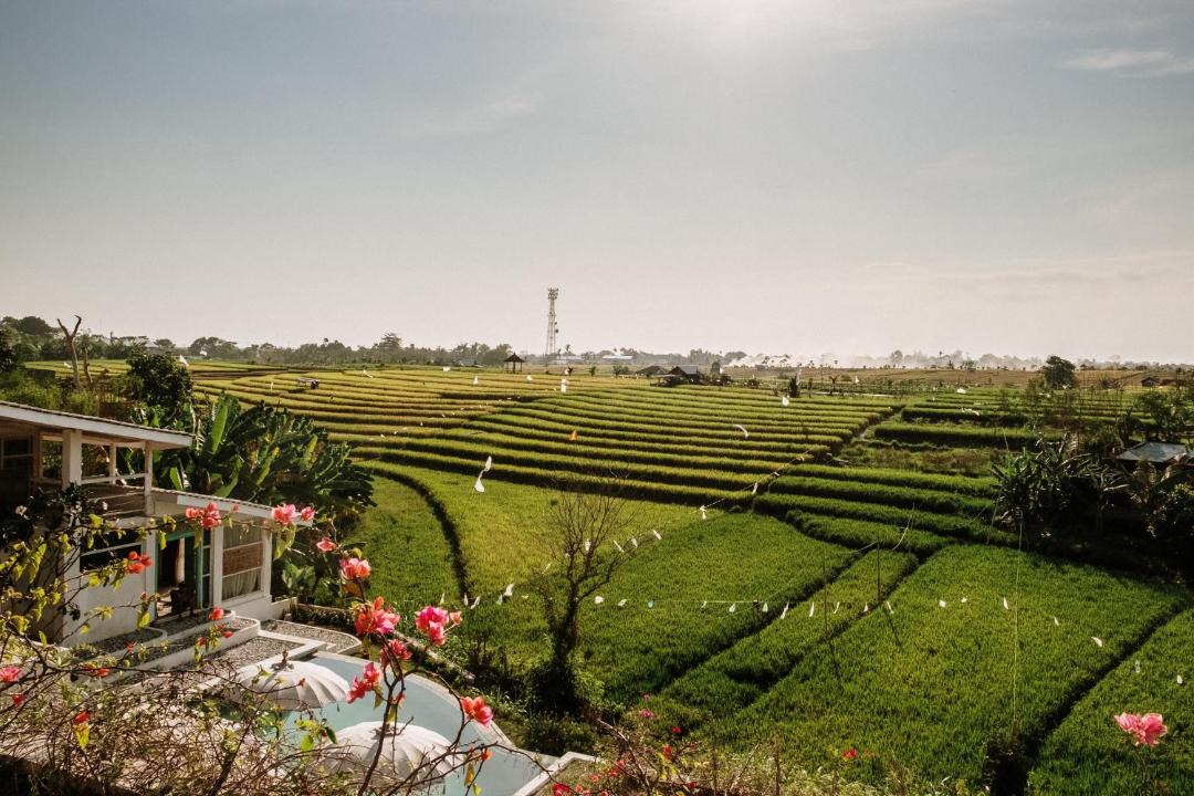 Photo of Others in Babakan
