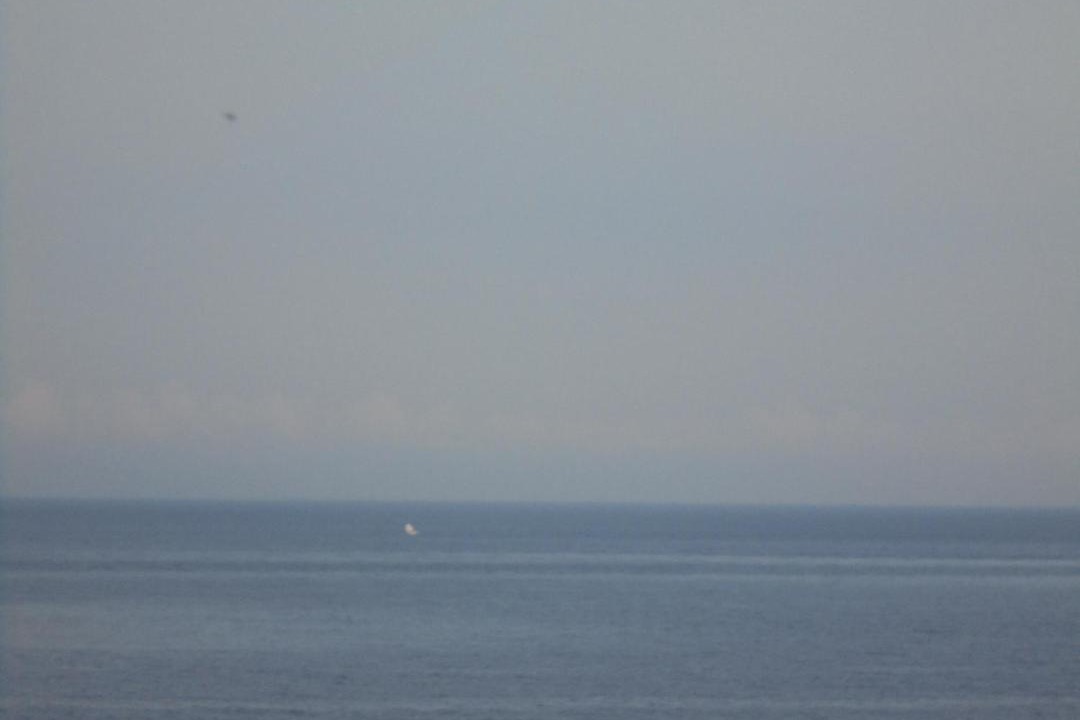 Photo of Others in Amed