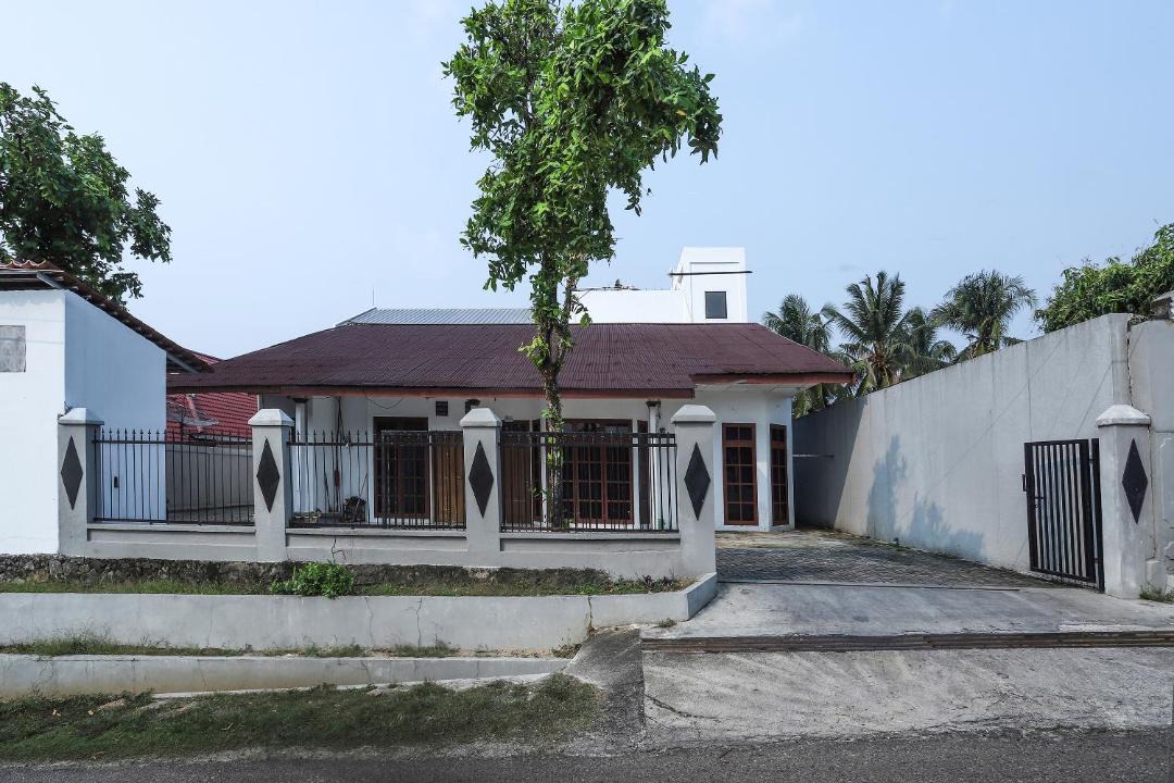 Photo of Others in Bungo