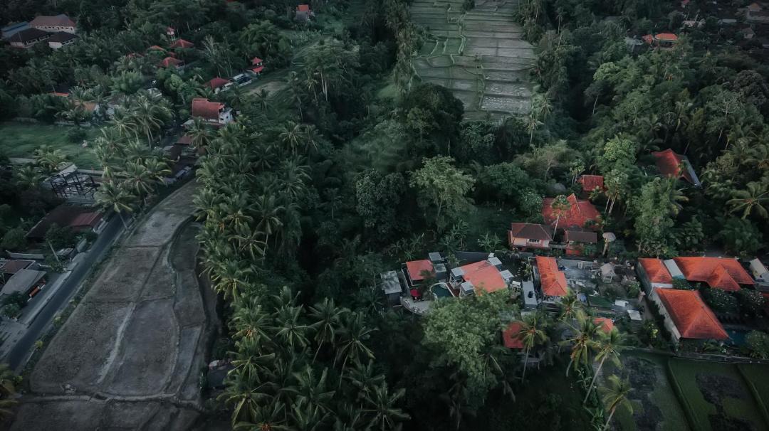 Photo of Others in Kutuh Kaja