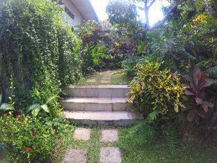 Photo of Others in Uluwatu