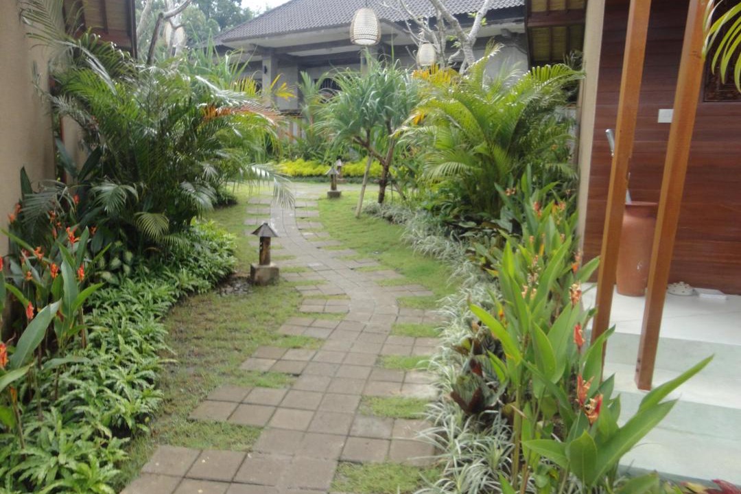 Photo of Others in Nyuh Kuning