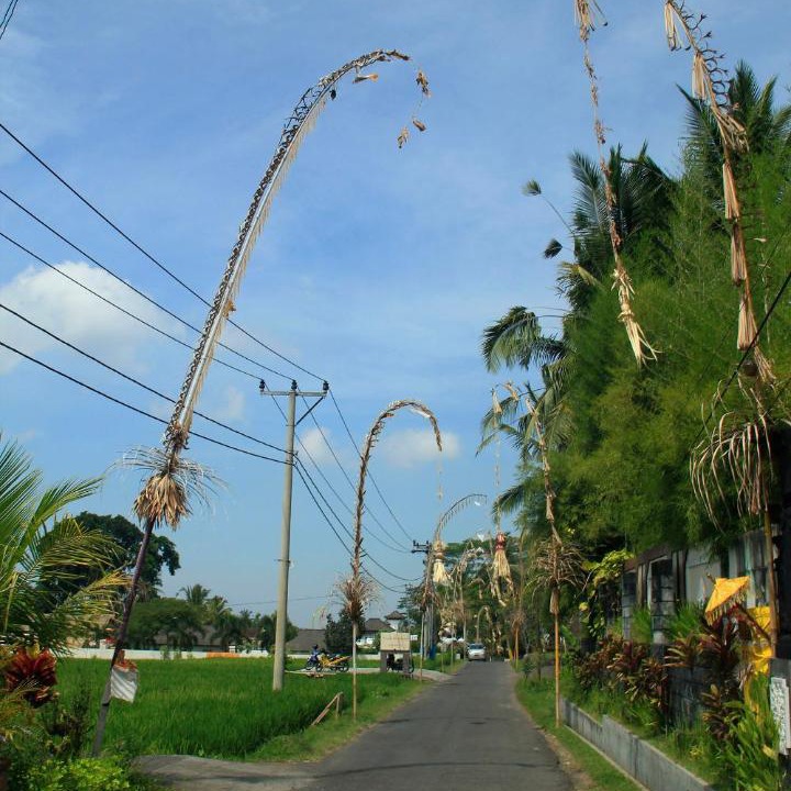 Photo of Others in Petulu