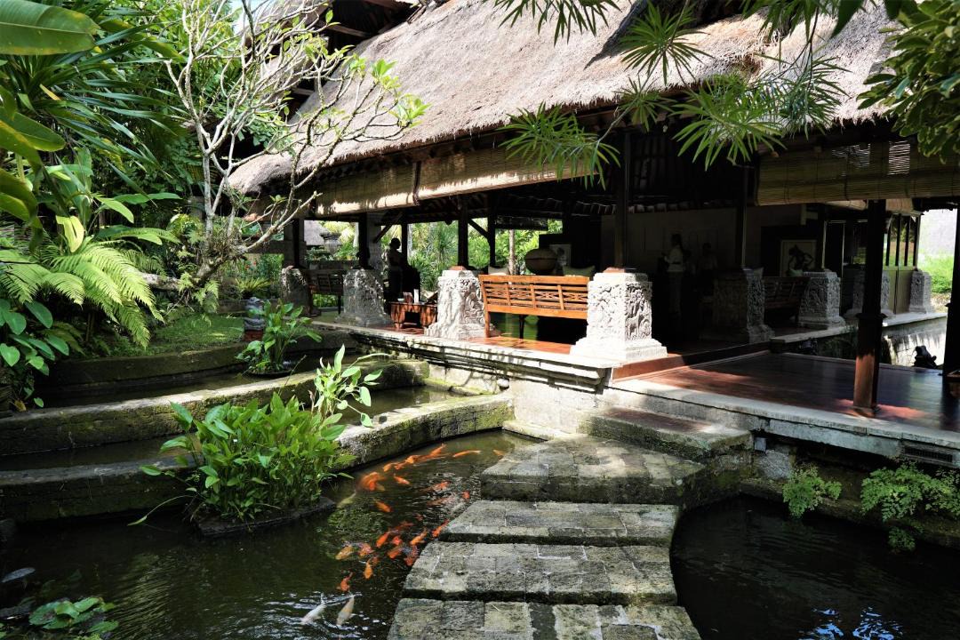 Photo of Others in Ubud