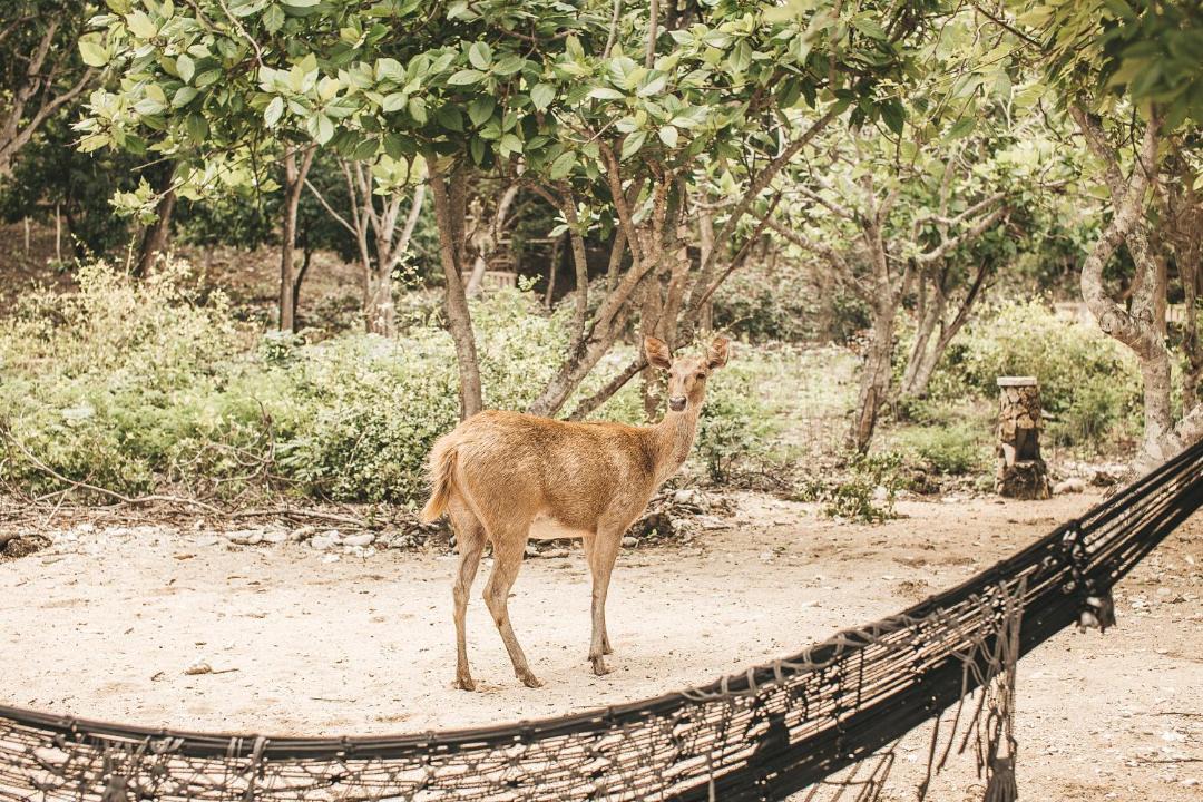 Photo of Others in Sumberklampok