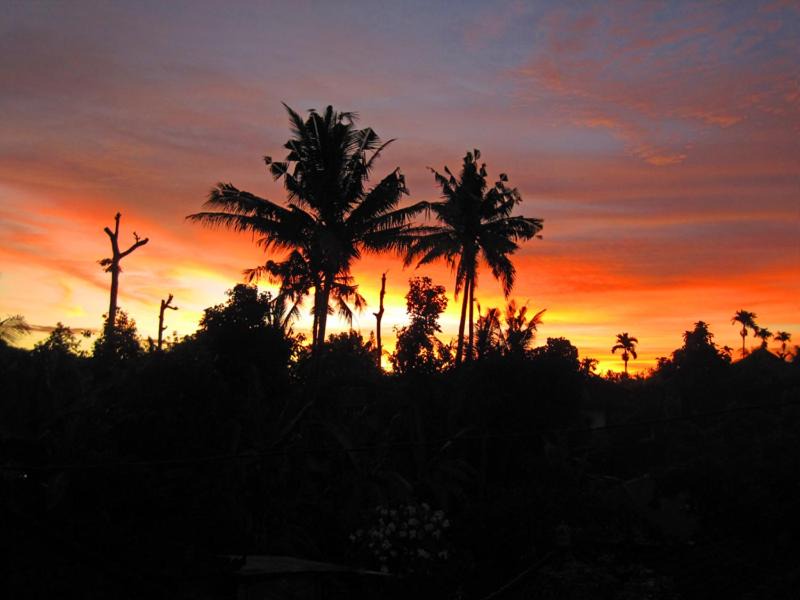 Photo of Others in Ubud City-Centre