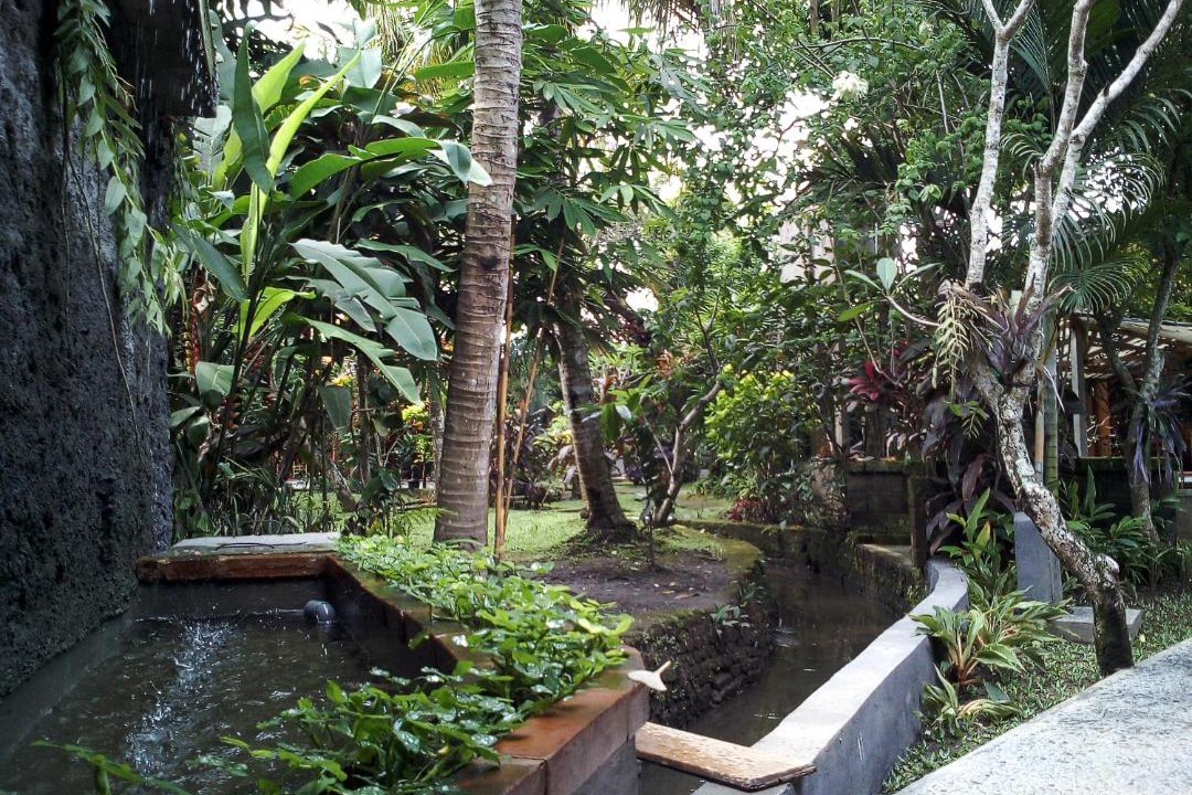 Photo of Others in Pengosekan