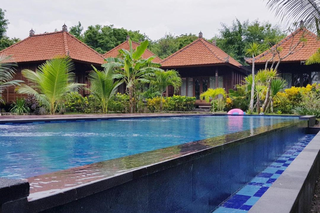 Photo of Others in Mushroom Bay
