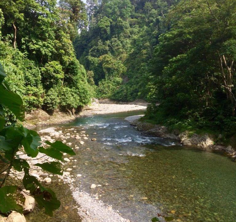 Photo of Others in Bukit Lawang