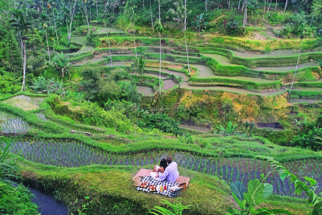 Photo of Others in Melayang