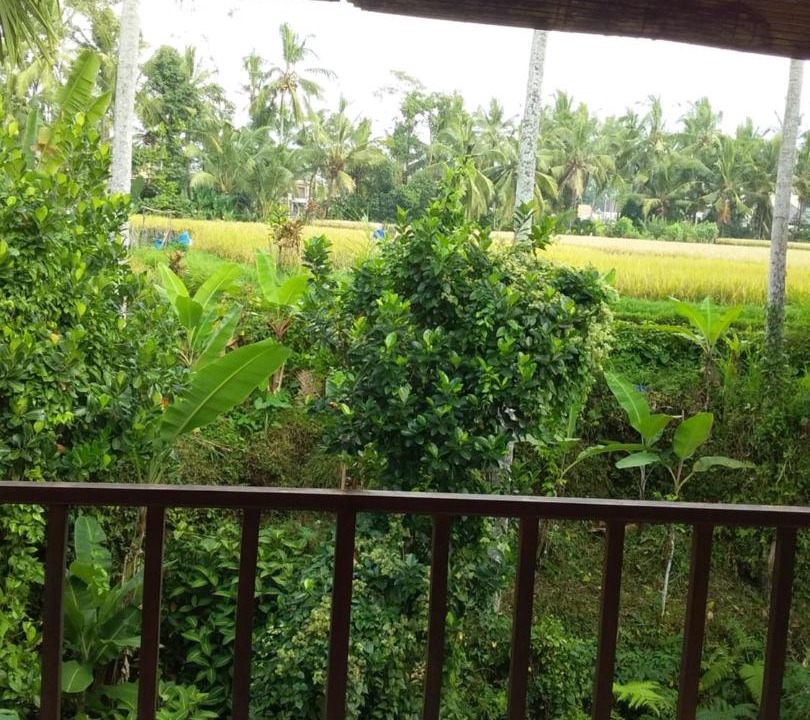 Photo of Others in Melayang