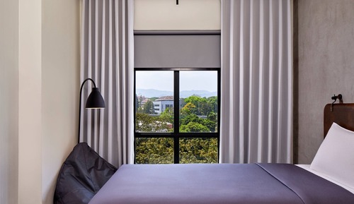 Suite, 1 Queen Bed